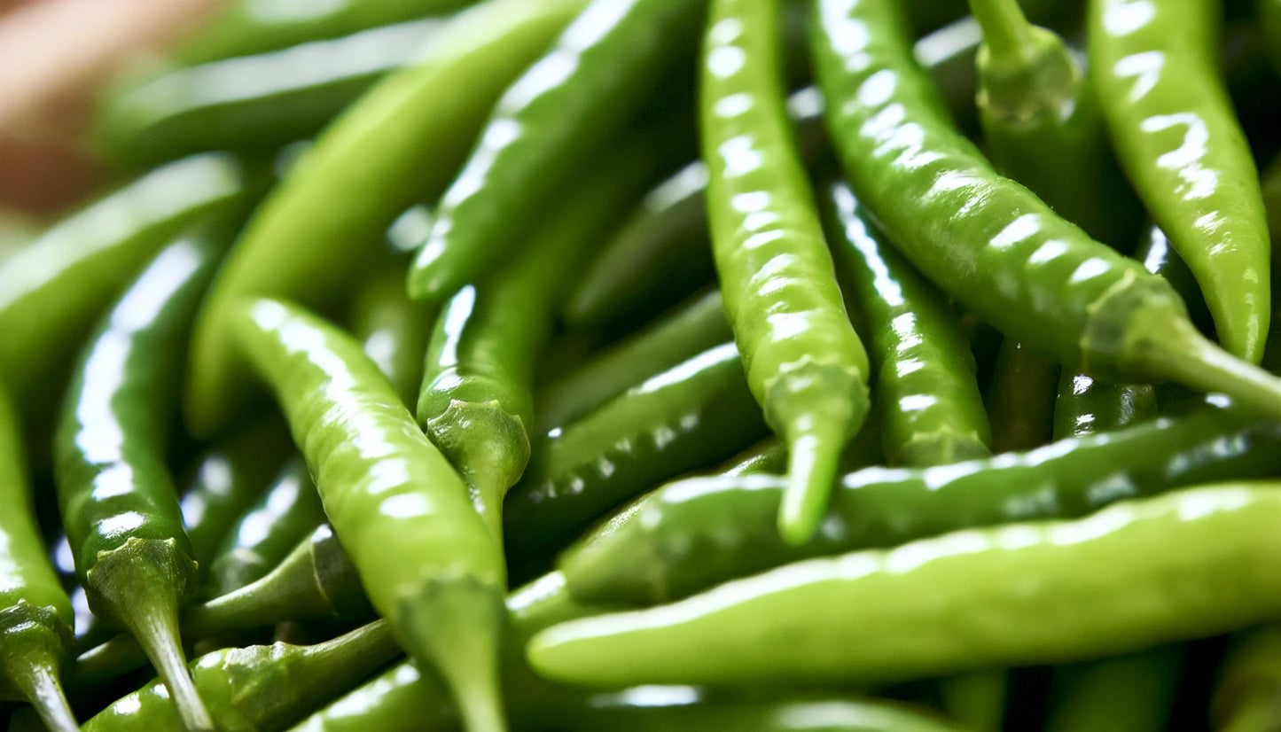 Fresh green hot pepper/rawit/Thai bird's eye chili